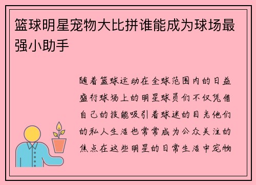 篮球明星宠物大比拼谁能成为球场最强小助手